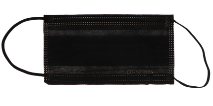 BeeSure Carbon Face Masks Black 50/Box ASTM 3