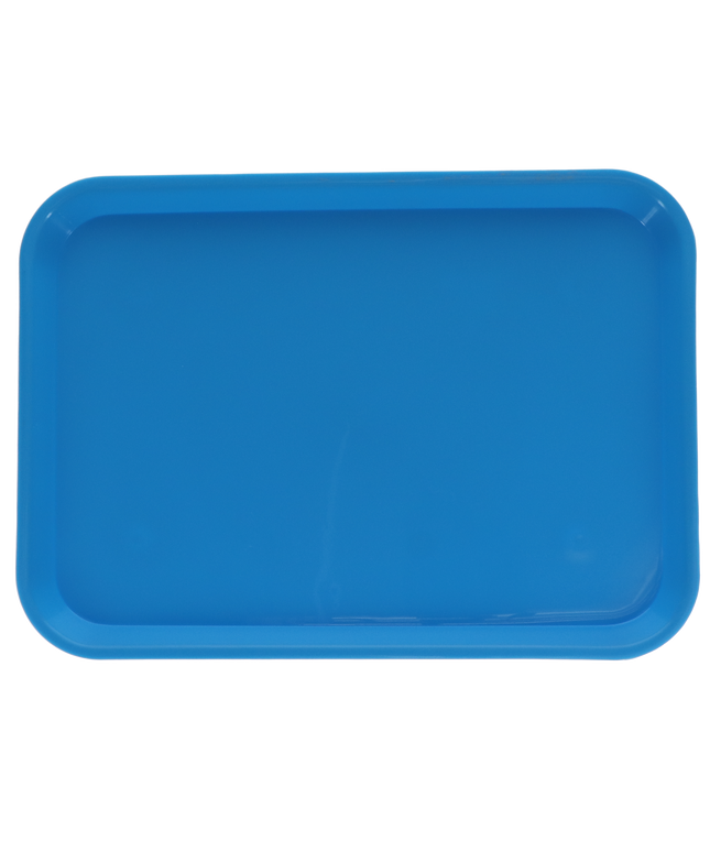Plasdent - Flat Tray Size B Neon Blue (replaces PLA-300BFS-2N)