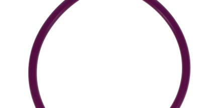 Plasdent - Spectrum Bib Clip-Purple