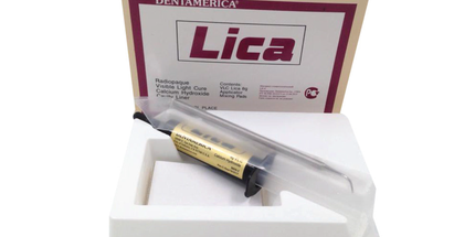 Lica Light-Curing Radiopaque Calcium Hydroxide Paste kit, 8 gram syringe