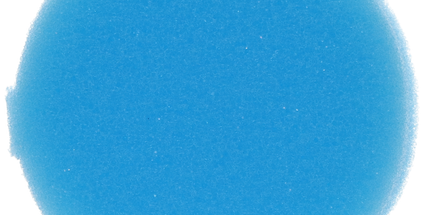 Plasdent - Round Foam Inserts 48/Pk. Blue