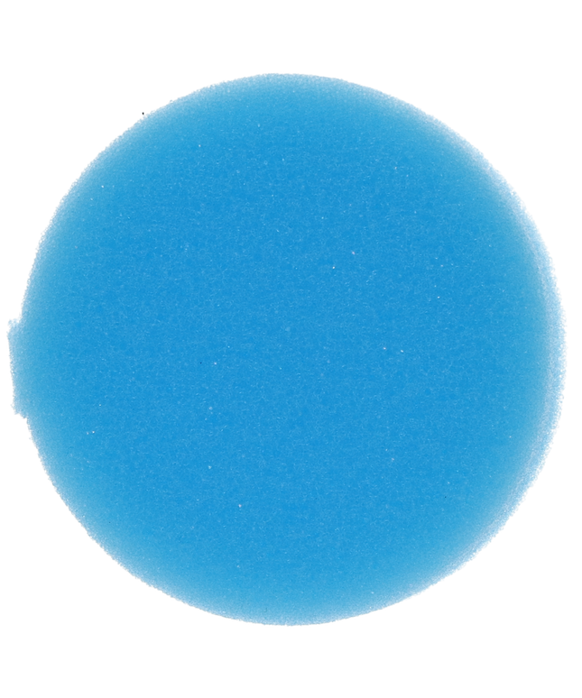 Plasdent - Round Foam Inserts 48/Pk. Blue