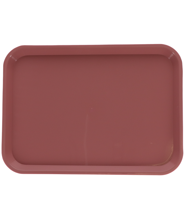 Plasdent - Set-up Tray Flat Size B (Ritter) - Coral, Plastic, 13-3/8" X 9-5/8" X
