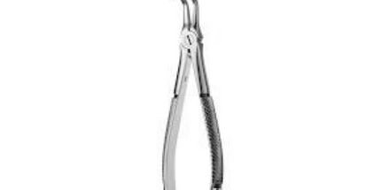 Forceps Root #46L