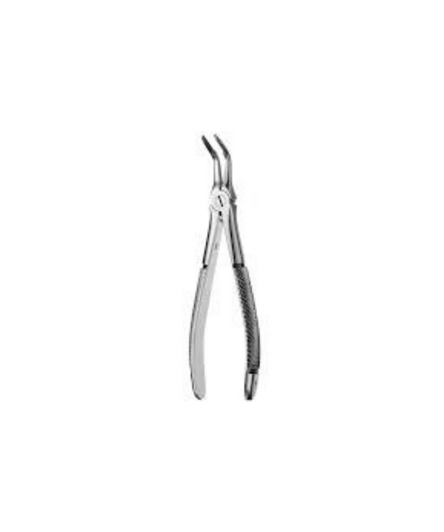 Forceps Root #46L