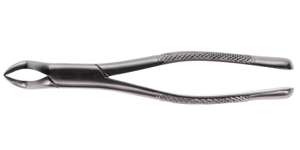 HSB - Extracting Forceps #88L