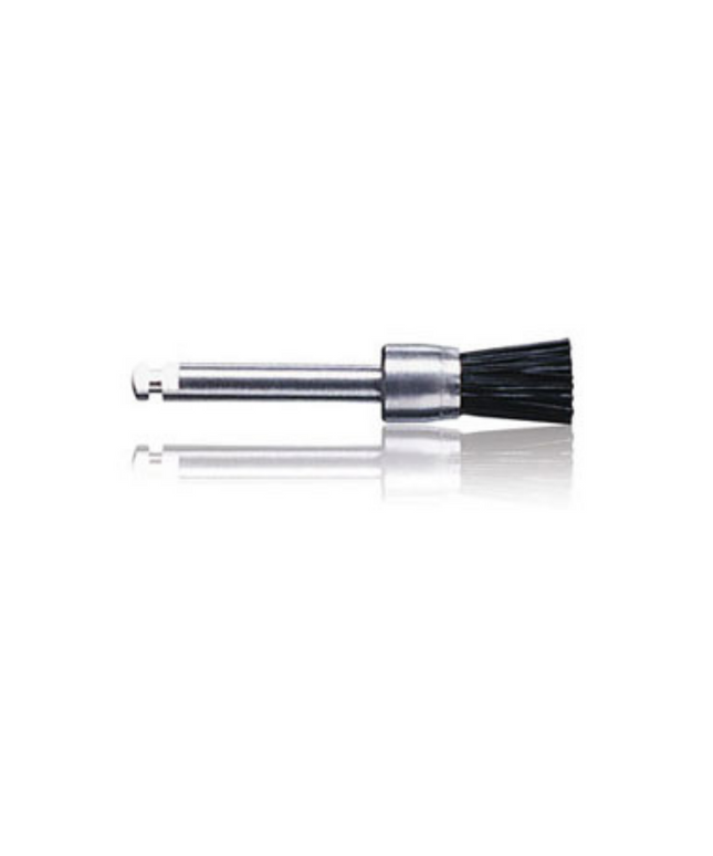 Young - Prophy Brushes Standard Latch Type 144/Pk