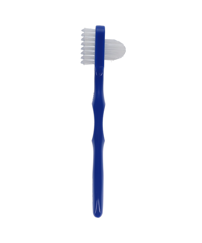 P&G - Oral-B Denture Brush 6/Bx
