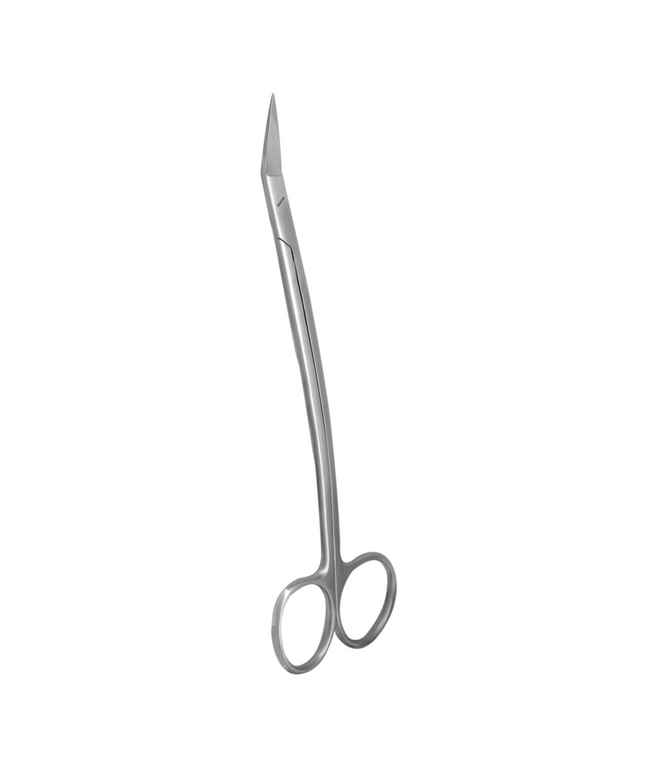 Dean Scissor