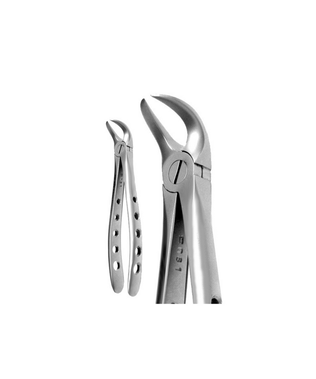 X-Trac Forcep Cowhorn
