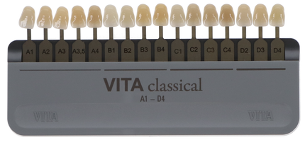 VITA Classical Shade Guide A1-D4? (G68-990)