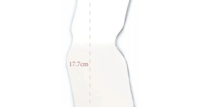 Plasdent - Angled two-sided intraoral photography mirror. Wide adult/child