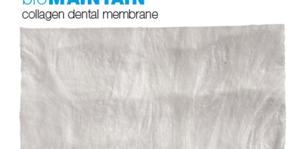 BioMaintain Bovine Membrane 20mm x 30mm 1 each