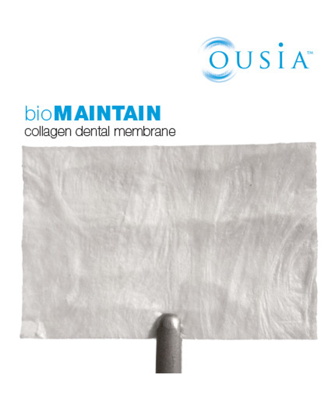 BioMaintain Bovine Membrane 20mm x 30mm 1 each