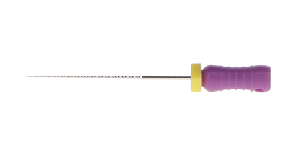 HSB - K-File, Flex-Type, Stainless Steel, 25 mm, # 10, Purple, 6/Pk