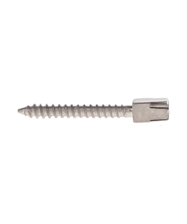 HSB - Titanium Screw Post Refill - L2, #2 Long 11.8mm (12/Pk)