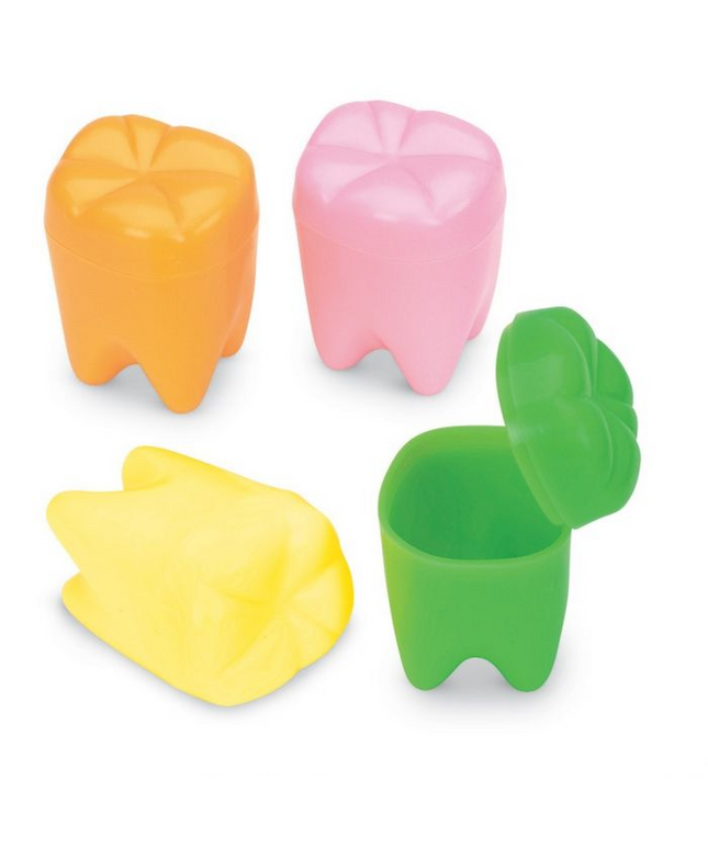 Rainbow Tooth Holders 144/Bx