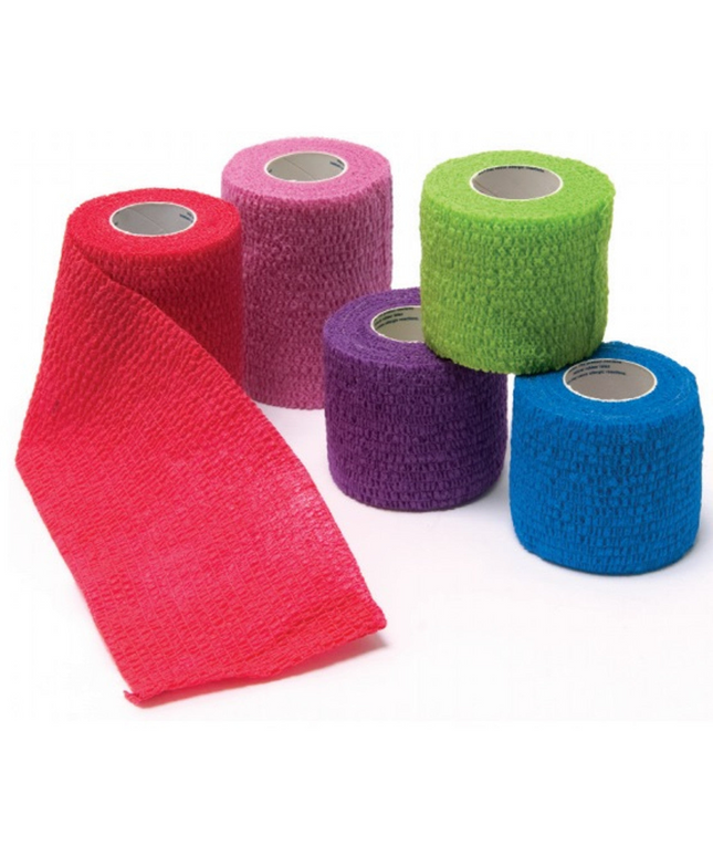 ProAdvantage - 2' Cohesive Bandage, Assorted Colors, case of 36
