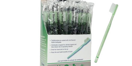 Happy Morning Xylitol Disposable Toothbrushes Impregnated With Mint Toothpaste 50/box