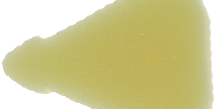 Endoring Foam Inserts - 48pk - Yellow