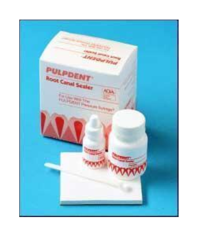 Root Canal Sealer Powder 4oz (114gm)