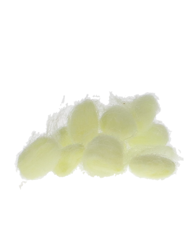 Pascal - EpiDri Hemostatic Pellets #3 Yellow 350/Box