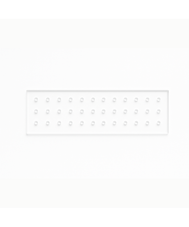 Palmero - Bur Block 36 Hole FG Clear Plexiglass