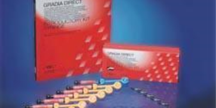 Gradia Direct Syringe A3