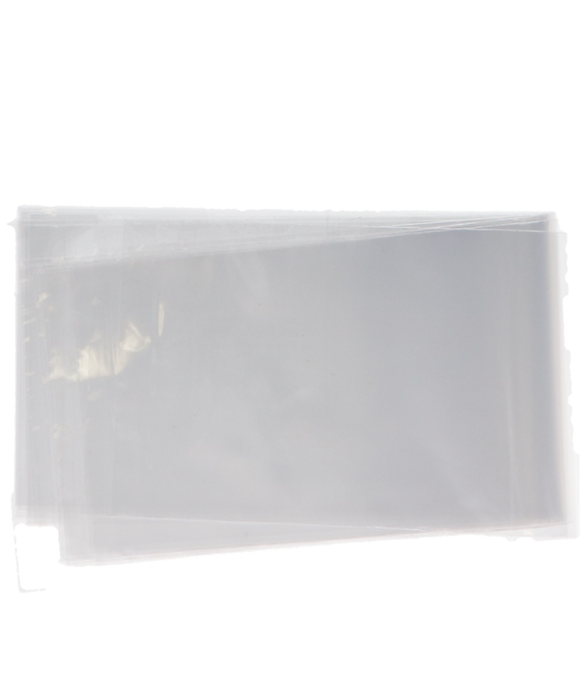 Brixton Digital X-Ray Sensor Sleeve 2-1/2" x 9" Large #2 500/Bx