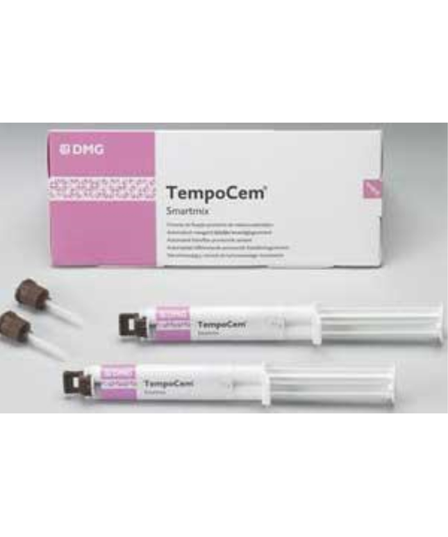 TempoCem Smartmix (2-5ml Syringes, 10 Smartmix Tips)