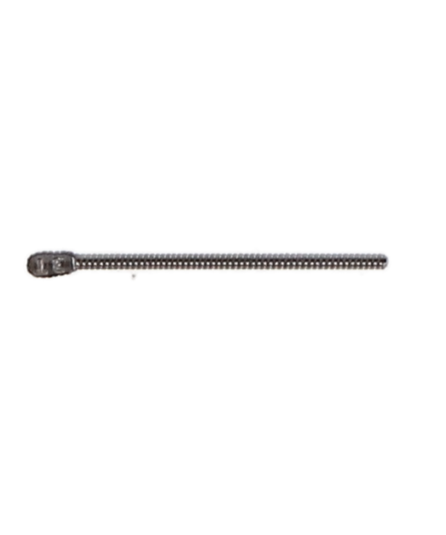 Coltene - ParaPost Titanium Refill P84-3 Brown 10/Pk