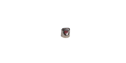 Unitek SS Primary Anterior Lateral UR-6 5/Pk