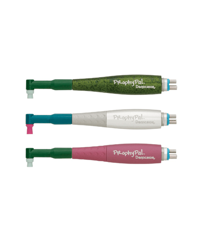 ProphyPal Hygiene Handpiece Prophy Classic Silver
