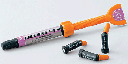 Clearfil Majesty Posterior Syringe 4.9gm A2