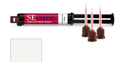 Secure Translucent Shade Resin Cement 9G Syringe