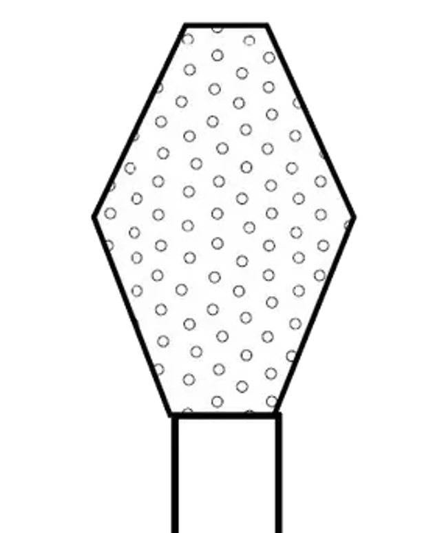 Premier - Two Striper Diamond FG 234C 5/Pk