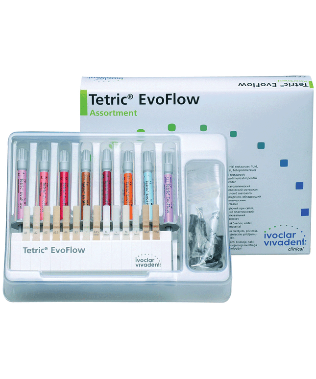 Tetric - EvoFlow - Cavifil - B1