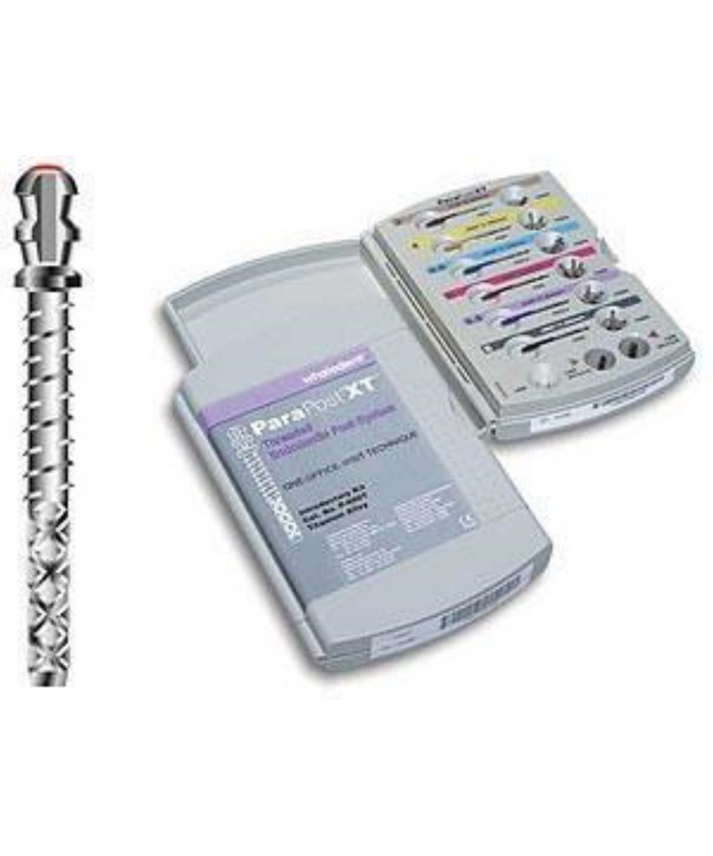 Coltene - ParaPost XT P685-5 10/Pk