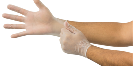 Ansell - Micro-Touch Elite PF Vinyl Glove Medium 100/bx