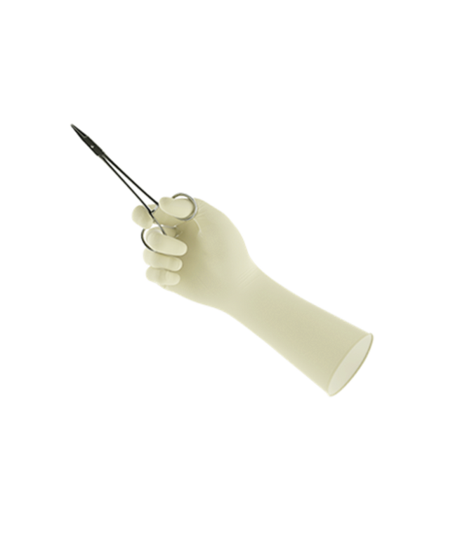 Ansell - Encore Style 42 Latex Surgical Glove Size 6.5 50/Bx