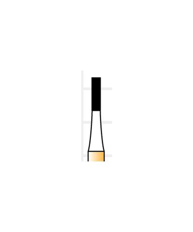 Coltene - Alpen Speedster 557G Cross Cut Fissure Fg 10Pk