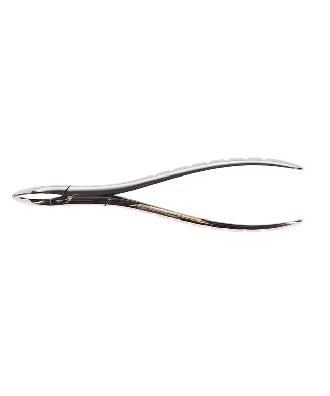 Forcep Root #301