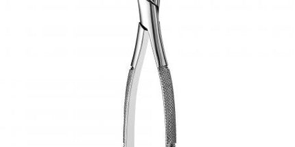 Forceps 10S