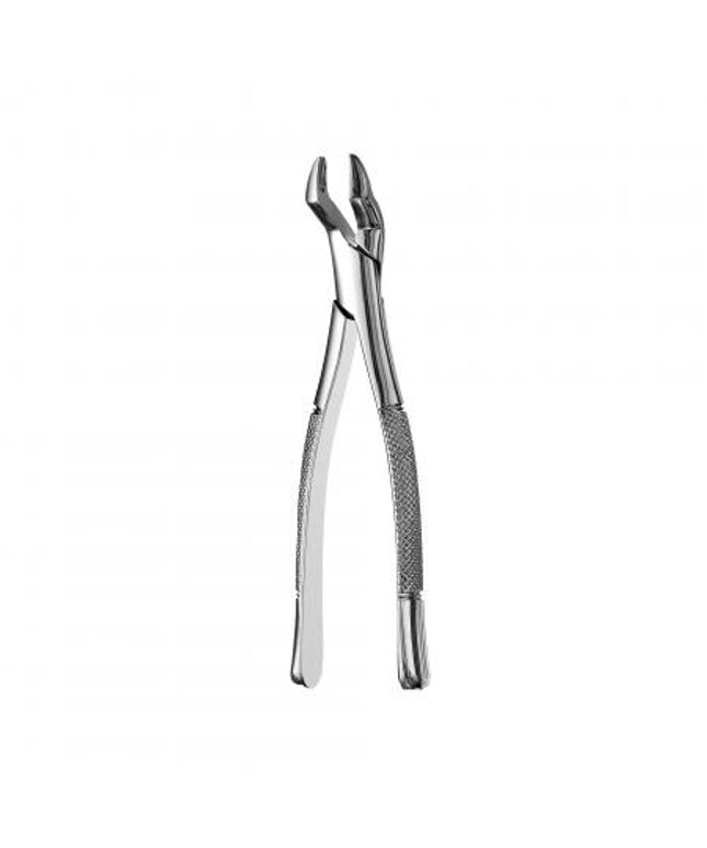 Forceps 10S