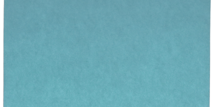 Tidi - Tray Covers 8.5x12.25 Ritter-B 1000/Case Blue