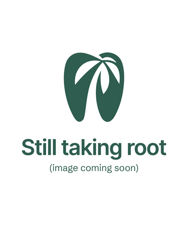 Keystone - Pink wax bite block Sticks 100/Pk