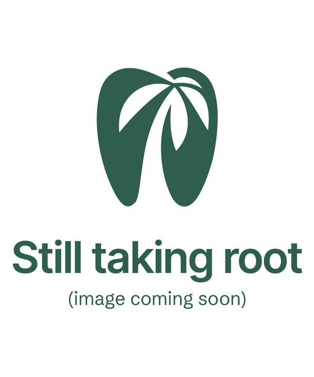 SybronEndo - Reamers 25mm #20 6/Bx